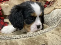 processed/f8573c53-8e07-4991-8cf4-c56ac73545d1/facility/e71cafa4-3ef8-4e0a-9346-cbae15570bf5