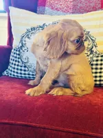 processed/f8573c53-8e07-4991-8cf4-c56ac73545d1/listing/5a51e053-a57c-487b-9779-fa9745595812/50377dee-ceda-404c-bc14-19791d4f22e3