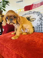 processed/f8573c53-8e07-4991-8cf4-c56ac73545d1/listing/5a51e053-a57c-487b-9779-fa9745595812/7f94f576-accb-49d6-aecd-7789a01066fb