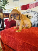 processed/f8573c53-8e07-4991-8cf4-c56ac73545d1/listing/5a51e053-a57c-487b-9779-fa9745595812/8e89ff93-dbfd-49ac-8abe-7f17ee4bae2b