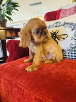 processed/f8573c53-8e07-4991-8cf4-c56ac73545d1/listing/5a51e053-a57c-487b-9779-fa9745595812/9d63645c-3827-4127-9da4-3d12c79c5ece