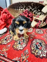 processed/f8573c53-8e07-4991-8cf4-c56ac73545d1/listing/811603dd-f986-4fb1-ae57-6bae3ab191f9/3449276e-fd53-475e-9a81-8bb81e84ad05