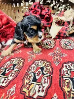 processed/f8573c53-8e07-4991-8cf4-c56ac73545d1/listing/811603dd-f986-4fb1-ae57-6bae3ab191f9/5118c6c8-bba3-4b2b-b188-6707f97fcda0