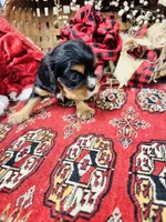 processed/f8573c53-8e07-4991-8cf4-c56ac73545d1/listing/811603dd-f986-4fb1-ae57-6bae3ab191f9/7b01e531-aaeb-455e-82d8-655978e45ac2