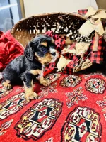 processed/f8573c53-8e07-4991-8cf4-c56ac73545d1/listing/811603dd-f986-4fb1-ae57-6bae3ab191f9/97442608-96c7-4f21-a7ed-bfffe43339bf