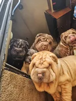 processed/f857a35f-a2db-4894-9609-5e60acbea6d5/facility/33f09e1d-c573-4b38-b3df-a1087e37f47e