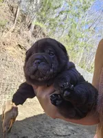 processed/f857a35f-a2db-4894-9609-5e60acbea6d5/facility/580b3c33-cb8b-4e0a-8c6f-cdf7c2e9e48e