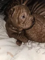 processed/f857a35f-a2db-4894-9609-5e60acbea6d5/facility/bac204e1-f568-4496-beab-cadc88e16cb7