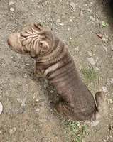 processed/f857a35f-a2db-4894-9609-5e60acbea6d5/listing/1f73b341-8b4a-49f7-a8bb-eca5c0ef74a6/021007e3-d4a7-4ad8-9526-e730a716ead9