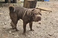 processed/f857a35f-a2db-4894-9609-5e60acbea6d5/listing/1f73b341-8b4a-49f7-a8bb-eca5c0ef74a6/07e65036-ebcf-4a21-b3a6-5e965cddd10d