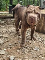 processed/f857a35f-a2db-4894-9609-5e60acbea6d5/listing/1f73b341-8b4a-49f7-a8bb-eca5c0ef74a6/ae2c9a65-df04-4c01-a69a-b3fc1becd356