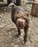 processed/f857a35f-a2db-4894-9609-5e60acbea6d5/listing/1f73b341-8b4a-49f7-a8bb-eca5c0ef74a6/b4ca9466-960b-4460-be94-cd732bc7d659