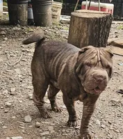 processed/f857a35f-a2db-4894-9609-5e60acbea6d5/listing/1f73b341-8b4a-49f7-a8bb-eca5c0ef74a6/d08360db-32f4-48b2-a523-9b29c27328f9