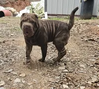 processed/f857a35f-a2db-4894-9609-5e60acbea6d5/listing/1f73b341-8b4a-49f7-a8bb-eca5c0ef74a6/ec9262fa-775c-4975-a6fc-21d14109a769