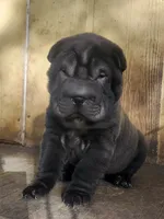 processed/f857a35f-a2db-4894-9609-5e60acbea6d5/listing/24074202-4ba3-4ce1-a524-99cee950aaee/77476014-b923-4804-ab3b-c5d772a3fbe6