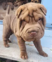 processed/f857a35f-a2db-4894-9609-5e60acbea6d5/listing/2c9eba22-b429-4e57-8b86-6820cacdd862/05f263a2-5880-4d2c-ac74-4f0c5d35ff8a