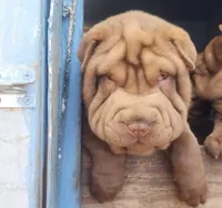 processed/f857a35f-a2db-4894-9609-5e60acbea6d5/listing/2c9eba22-b429-4e57-8b86-6820cacdd862/6509b4d5-9a0b-4718-a9c7-f9ed49ea4a25