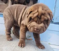 processed/f857a35f-a2db-4894-9609-5e60acbea6d5/listing/2c9eba22-b429-4e57-8b86-6820cacdd862/df0985b0-7ee1-4100-9856-321d6fb9e01e