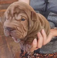 processed/f857a35f-a2db-4894-9609-5e60acbea6d5/listing/36f11980-093c-4256-9004-b4930fcaeac3/28ea3fd5-80a1-425f-a2b5-b040e7e13982