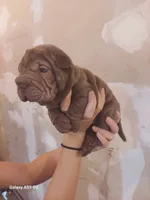 processed/f857a35f-a2db-4894-9609-5e60acbea6d5/listing/36f11980-093c-4256-9004-b4930fcaeac3/2c31d66f-332e-452d-863f-6f1f3768c442