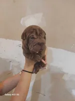 processed/f857a35f-a2db-4894-9609-5e60acbea6d5/listing/36f11980-093c-4256-9004-b4930fcaeac3/b3c40873-d43b-4e11-857c-02d3b27ef7fb