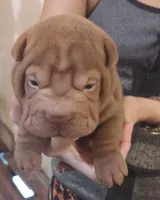 processed/f857a35f-a2db-4894-9609-5e60acbea6d5/listing/36f11980-093c-4256-9004-b4930fcaeac3/c511b8af-8757-499e-9c6d-1d6721544511