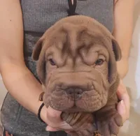 processed/f857a35f-a2db-4894-9609-5e60acbea6d5/listing/36f11980-093c-4256-9004-b4930fcaeac3/eed5f2b7-39d4-4734-9266-13ac0ed8fe51