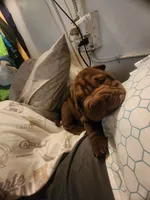 processed/f857a35f-a2db-4894-9609-5e60acbea6d5/listing/39633ecf-4ba5-4022-9e1b-f444b11639e9/a8c95498-f955-482b-8671-82fe07ab8f10