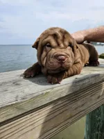 processed/f857a35f-a2db-4894-9609-5e60acbea6d5/listing/3c614d77-b1b6-4b79-9ff3-3088f78bb7c4/05a5ee62-7b05-4123-93a9-39d183efa8c0