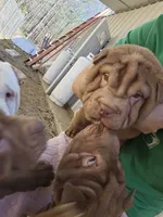 processed/f857a35f-a2db-4894-9609-5e60acbea6d5/listing/3c614d77-b1b6-4b79-9ff3-3088f78bb7c4/242950bd-6da2-49f9-95dc-f8a8528d9978