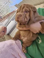 processed/f857a35f-a2db-4894-9609-5e60acbea6d5/listing/3c614d77-b1b6-4b79-9ff3-3088f78bb7c4/37116143-2ca1-44cf-9c10-7870e449c3ef