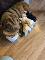 processed/f857a35f-a2db-4894-9609-5e60acbea6d5/listing/3c614d77-b1b6-4b79-9ff3-3088f78bb7c4/7180ed03-6142-4dc5-bdb8-e7e84415f345