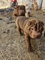 processed/f857a35f-a2db-4894-9609-5e60acbea6d5/listing/3c614d77-b1b6-4b79-9ff3-3088f78bb7c4/7550d640-d90d-4423-86ed-44bf48d9e1e5