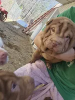 processed/f857a35f-a2db-4894-9609-5e60acbea6d5/listing/3c614d77-b1b6-4b79-9ff3-3088f78bb7c4/e606c845-bd90-4e91-aa67-ae2e891ca304