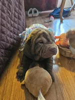 processed/f857a35f-a2db-4894-9609-5e60acbea6d5/listing/3c614d77-b1b6-4b79-9ff3-3088f78bb7c4/eae225f3-6a86-4b63-88a2-36fc3f783b64