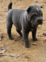 processed/f857a35f-a2db-4894-9609-5e60acbea6d5/listing/43aa1218-8649-482e-bb15-f45e37110b26/1f9ee59f-abd3-4c47-9abf-e3108f0154f7