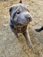 processed/f857a35f-a2db-4894-9609-5e60acbea6d5/listing/43aa1218-8649-482e-bb15-f45e37110b26/69f7adf6-0342-4802-a933-707811d116a0