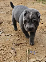 processed/f857a35f-a2db-4894-9609-5e60acbea6d5/listing/43aa1218-8649-482e-bb15-f45e37110b26/8df70e01-122b-40a2-9986-3f589a473d08