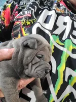 processed/f857a35f-a2db-4894-9609-5e60acbea6d5/listing/43aa1218-8649-482e-bb15-f45e37110b26/a1e11bc4-43c0-41af-b507-72edda590336