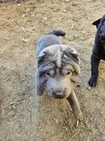 processed/f857a35f-a2db-4894-9609-5e60acbea6d5/listing/43aa1218-8649-482e-bb15-f45e37110b26/a58104ed-1cdf-40ee-8393-1737d5e9999b