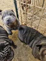 processed/f857a35f-a2db-4894-9609-5e60acbea6d5/listing/43aa1218-8649-482e-bb15-f45e37110b26/c522258e-e362-44eb-bf81-a35de9df1cb3