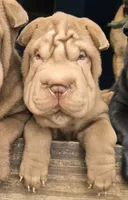 processed/f857a35f-a2db-4894-9609-5e60acbea6d5/listing/44a520a8-dbc7-408e-84f3-198ac0141707/22d3c1fa-ae63-4185-bf21-13ce9784a25f