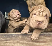 processed/f857a35f-a2db-4894-9609-5e60acbea6d5/listing/44a520a8-dbc7-408e-84f3-198ac0141707/524d861a-74bd-43f5-9c81-e2f5240f5f46