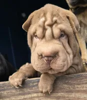 processed/f857a35f-a2db-4894-9609-5e60acbea6d5/listing/44a520a8-dbc7-408e-84f3-198ac0141707/ca1f4b62-ce49-47c5-b5d2-3fcebcf80796