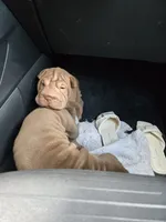 processed/f857a35f-a2db-4894-9609-5e60acbea6d5/listing/44a520a8-dbc7-408e-84f3-198ac0141707/d81f6991-1cb7-4a51-8d23-a44056615c2f