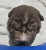 processed/f857a35f-a2db-4894-9609-5e60acbea6d5/listing/459f4868-3741-4263-a14d-2a71472c3410/21679acb-24b6-4231-ba87-8a8dc5af285a