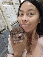 processed/f857a35f-a2db-4894-9609-5e60acbea6d5/listing/459f4868-3741-4263-a14d-2a71472c3410/9a3c4a4e-304c-4270-88c0-383f2ce1ec21