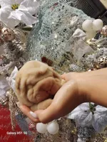 processed/f857a35f-a2db-4894-9609-5e60acbea6d5/listing/4998dbd5-9671-43e2-9a1d-070238baeb55/c5b416bd-96e0-407b-9742-7c984105d78e