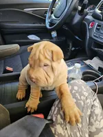 processed/f857a35f-a2db-4894-9609-5e60acbea6d5/listing/538d4dc7-c043-418a-bc44-5a9d680871e8/36a10867-e47e-4b40-90ac-9779f034a184