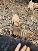 processed/f857a35f-a2db-4894-9609-5e60acbea6d5/listing/538d4dc7-c043-418a-bc44-5a9d680871e8/379d85e4-ec18-4b90-8d14-c445e29533f0